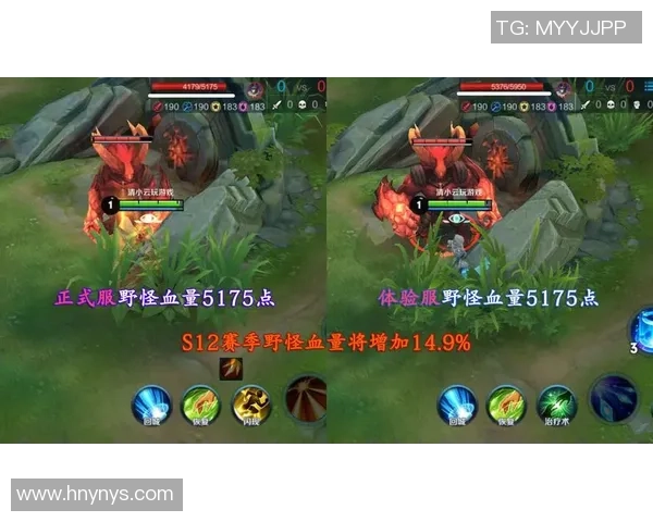 王者荣耀巨献：深入解析WE战队背后的强大力量与荣耀之路